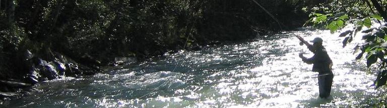Fliegenfischen, Fischerurlaub in Österreich