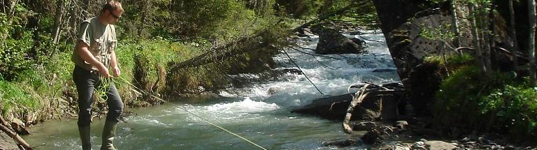 Fliegenfischen, Fischerurlaub in Österreich